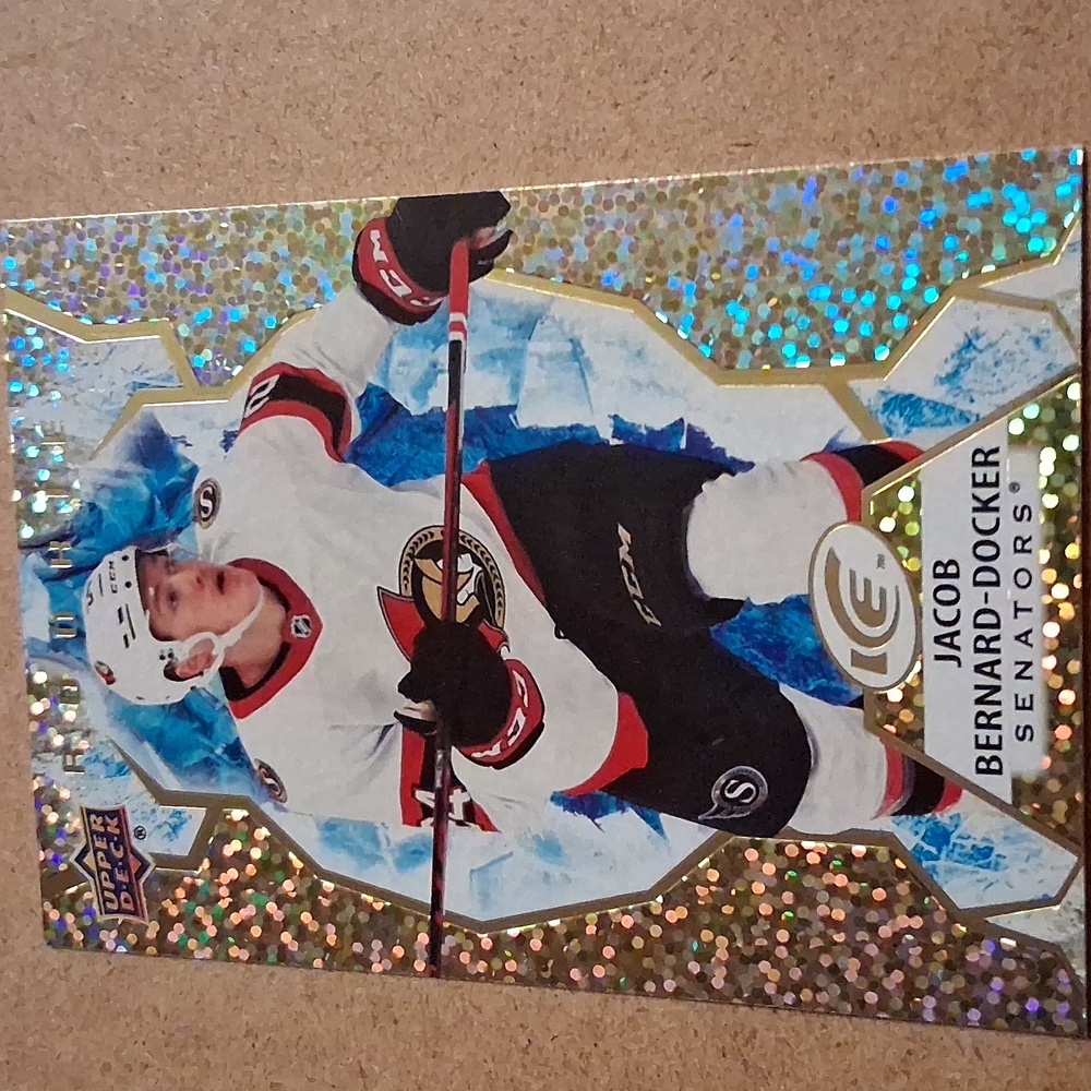Bernard-Docker Ottawa Senators NHL Hockey Trading Cards